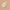 Colorescience Total Protection® No-Show™ Mineral Sunscreen SPF 50